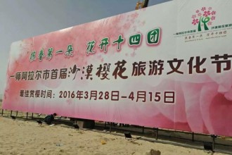 阿拉尔十四团双面高立柱6*18米两个7天施工现场
